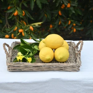 Limon (1 Kilogram)
