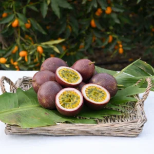 Passiflora (Çarkıfelek Meyvesi)